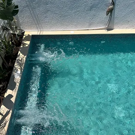 Birds Of Paradise Villa *
