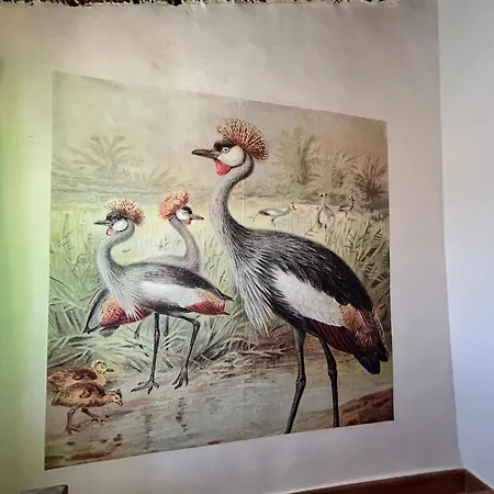 Villa Birds Of Paradise *