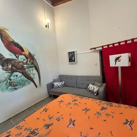 Birds Of Paradise Villa Pentakomo