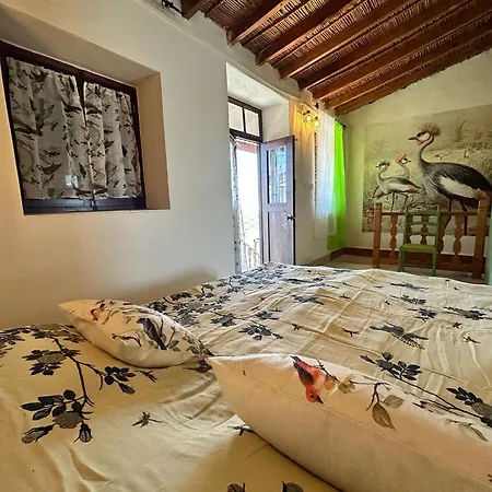 Villa Birds Of Paradise Pentakomo