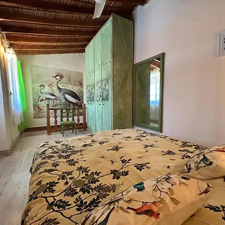 Birds Of Paradise Villa Pentakomo
