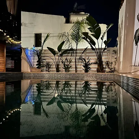 Birds Of Paradise Villa